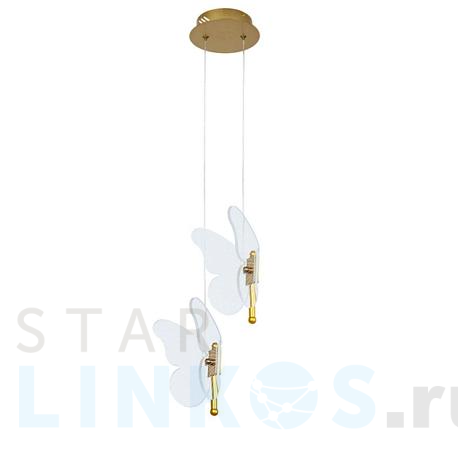 Купить Подвесной светодиодный светильник Arte Lamp Darcy A2187SP-2GO за 6 290 руб. в Туле фото 2 Купить с доставкой Подвесной светодиодный светильник Arte Lamp Darcy A2187SP-2GO в Туле фото 2