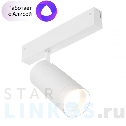 Купить с доставкой Трековый светильник Denkirs Smart DK8020-WH в Туле