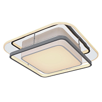 Купить Настенно-потолочный светодиодный светильник Globo Leola 48017-60 в Туле