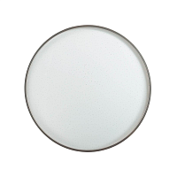 Купить Настенно-потолочный светодиодный светильник Sonex Pale Geta silver 2076/DL в Туле