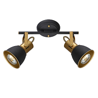 Купить Спот Arte Lamp Jovi A1677PL-2GO в Туле