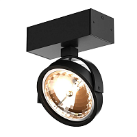 Купить Спот Zumaline Go sl 1 50484-G9 в Туле