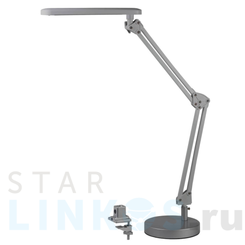 Купить с доставкой Настольная лампа ЭРА NLED-440-7W-S Б0008001 в Туле