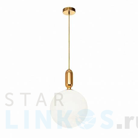 Купить Подвесной светильник Loft IT Parachilna 9974-C за 9 660 руб. в Туле фото 2 Купить с доставкой Подвесной светильник Loft IT Parachilna 9974-C в Туле фото 2