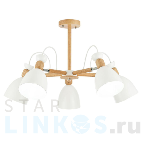 Купить Потолочная люстра Evoluce Balcamo SLE103802-05 за 14 130 руб. в Туле Купить с доставкой Потолочная люстра Evoluce Balcamo SLE103802-05 в Туле