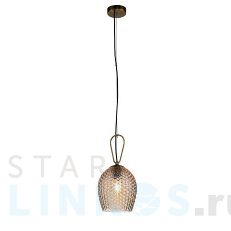 Купить Подвесной светильник Indigo Armonia 11001/1P Brass V000084 за 5 730 руб. в Туле фото 2 Купить с доставкой Подвесной светильник Indigo Armonia 11001/1P Brass V000084 в Туле фото 2