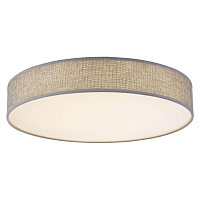 Купить Потолочный светодиодный светильник Globo Paco 15185D2 в Туле