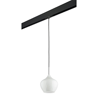 Купить Трековый светильник Lightstar Pentola (803040+595007) PRO803040 в Туле