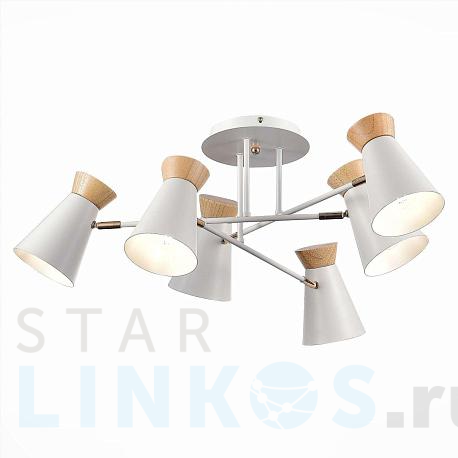 Купить Потолочная люстра Evoluce Alfeo SLE1252-502-06 за 9 190 руб. в Туле фото 2 Купить с доставкой Потолочная люстра Evoluce Alfeo SLE1252-502-06 в Туле фото 2