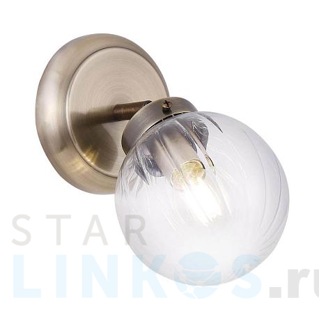 Купить Спот Freya Daisy FR5041CW-01BS за 2 841 руб. в Туле фото 2 Купить с доставкой Спот Freya Daisy FR5041CW-01BS в Туле фото 2