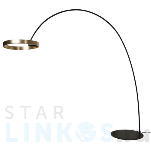 Купить Торшер Loft IT Ring 10027 за 94 120 руб. в Туле Купить с доставкой Торшер Loft IT Ring 10027 в Туле