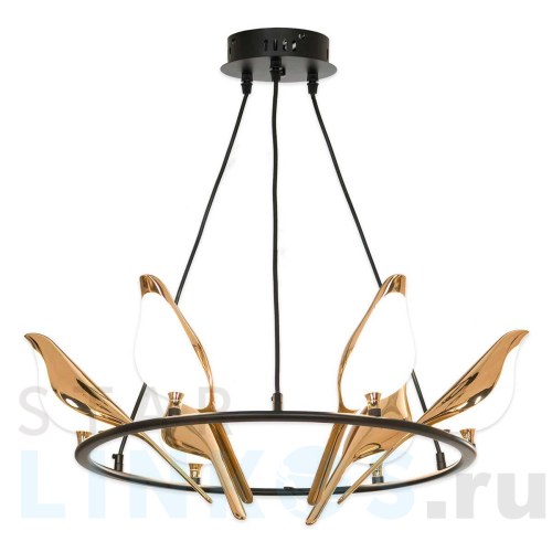 Купить Подвесная люстра Lussole LOFT Jasper LSP-8641 за 42 939 руб. в Туле Купить с доставкой Подвесная люстра Lussole LOFT Jasper LSP-8641 в Туле