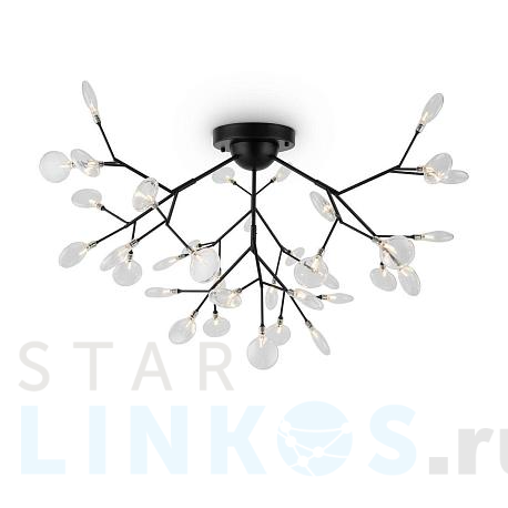 Купить Потолочная люстра Freya Florencia FR5049CL-36B за 24 691 руб. в Туле фото 2 Купить с доставкой Потолочная люстра Freya Florencia FR5049CL-36B в Туле фото 2