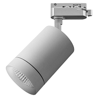 Купить Трековый светодиодный светильник Lightstar Canno Led 303292 в Туле