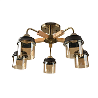 Купить Потолочная люстра Hiper Vimi H192-5 в Туле