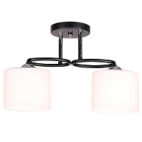 Купить Потолочный светильник IMEX MD.0617-2-S BK в Туле