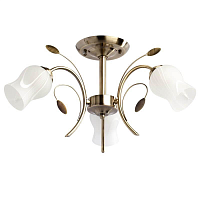 Купить Потолочная люстра MW-Light Флора 256018103 в Туле