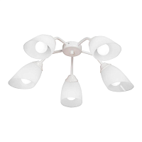 Купить Потолочная люстра Vitaluce V3195/5PL в Туле