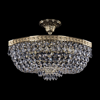 Купить Потолочная люстра Bohemia Ivele 19273/45IV G в Туле