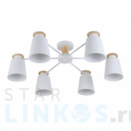 Купить Потолочная люстра Rivoli Adna 9112-306 Б0053436 за 10 378 руб. в Туле фото 2 Купить с доставкой Потолочная люстра Rivoli Adna 9112-306 Б0053436 в Туле фото 2