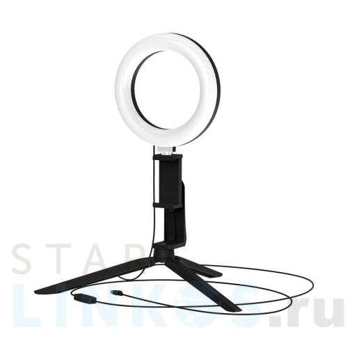 Купить с доставкой Кольцевой светодиодный светильник Gauss RL001 в Туле