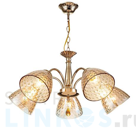 Купить Подвесная люстра Escada Freesia 658/5PL Gold за 6 110 руб. в Туле фото 2 Купить с доставкой Подвесная люстра Escada Freesia 658/5PL Gold в Туле фото 2
