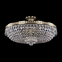 Купить Потолочная люстра Bohemia Ivele 19271/55IV G в Туле