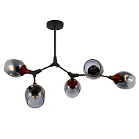 Купить Потолочная люстра Evoluce Ciotolla SLE113402-05 в Туле