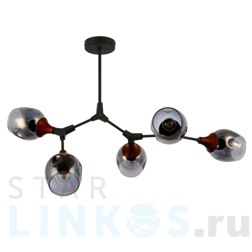 Купить Потолочная люстра Evoluce Ciotolla SLE113402-05 за 13 270 руб. в Туле Купить с доставкой Потолочная люстра Evoluce Ciotolla SLE113402-05 в Туле