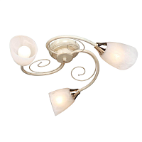 Купить Потолочная люстра Vitaluce V3663/3PL в Туле