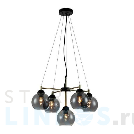 Купить Подвесная люстра Indigo Grappoli 11029/5P Black V000215 за 16 220 руб. в Туле фото 2 Купить с доставкой Подвесная люстра Indigo Grappoli 11029/5P Black V000215 в Туле фото 2