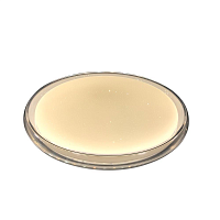 Купить Настенно-потолочный светильник Camelion LBS-7732 14526 в Туле