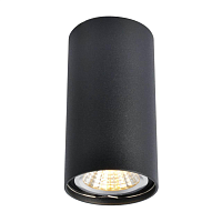 Купить Потолочный светильник Arte Lamp A1516PL-1BK в Туле