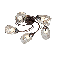 Купить Потолочная люстра Vitaluce V4927-7/5PL в Туле