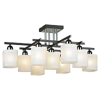 Купить Потолочная люстра Lussole Costanzo LSL-9007-09 в Туле