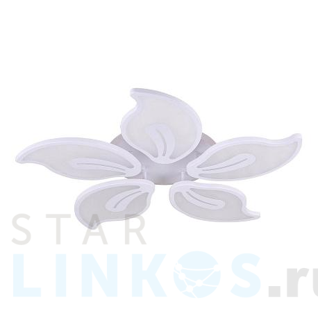 Купить Потолочная светодиодная люстра Natali Kovaltseva Led Lamps 81153 за 8 271 руб. в Туле фото 2 Купить с доставкой Потолочная светодиодная люстра Natali Kovaltseva Led Lamps 81153 в Туле фото 2