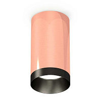 Купить Комплект потолочного светильника Ambrella light Techno Spot XC (C6326, N6131) XS6326004 в Туле