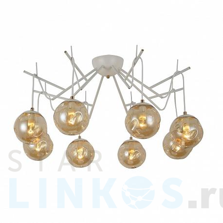 Купить Потолочная люстра Evoluce Calletta SLE110202-08 за 11 520 руб. в Туле фото 2 Купить с доставкой Потолочная люстра Evoluce Calletta SLE110202-08 в Туле фото 2