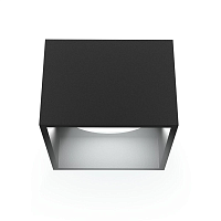 Купить Накладной потолочный светильник Ritter Arton 51402 2 в Туле