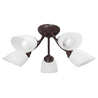 Купить Потолочная люстра Vitaluce V3404/5PL в Туле