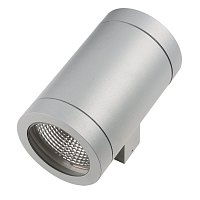 Купить Уличный настенный светильник Lightstar Paro 351619 в Туле