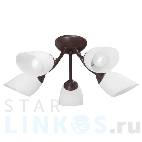 Купить Потолочная люстра Vitaluce V3404/5PL за 3 617 руб. в Туле Купить с доставкой Потолочная люстра Vitaluce V3404/5PL в Туле