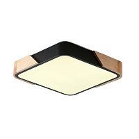 Купить Потолочный светильник Zortes ALBERRO ZRS.01281.24 в Туле