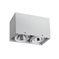 Купить Потолочный светодиодный светильник Favourite Flashled 1986-2U в Туле