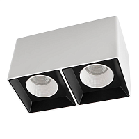 Купить Накладной светильник Denkirs DK3085-WB+WH в Туле