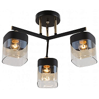 Купить Потолочная люстра Rivoli Isadora 9133-303 Б0054750 в Туле