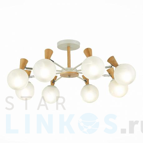Купить Потолочная люстра Evoluce Catania SLE220702-08 за 17 320 руб. в Туле фото 2 Купить с доставкой Потолочная люстра Evoluce Catania SLE220702-08 в Туле фото 2