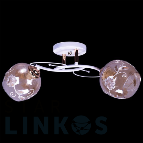 Купить с доставкой Потолочный светильник Reluce 27081-0.3-02 в Туле