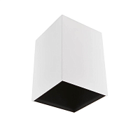 Купить Потолочный светильник Lightstar Ottico Qua 214420 в Туле