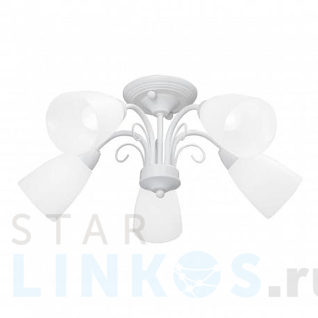 Купить Потолочная люстра Vitaluce V3499-0/5PL за 4 106 руб. в Туле фото 2 Купить с доставкой Потолочная люстра Vitaluce V3499-0/5PL в Туле фото 2